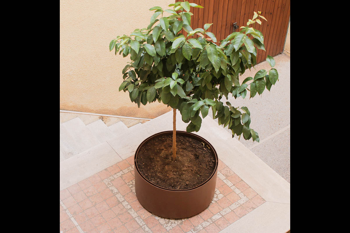 mensola con luce 