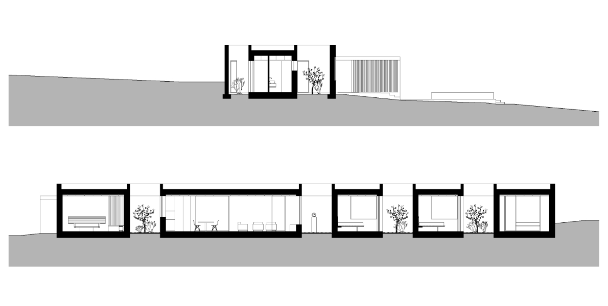 Disegno