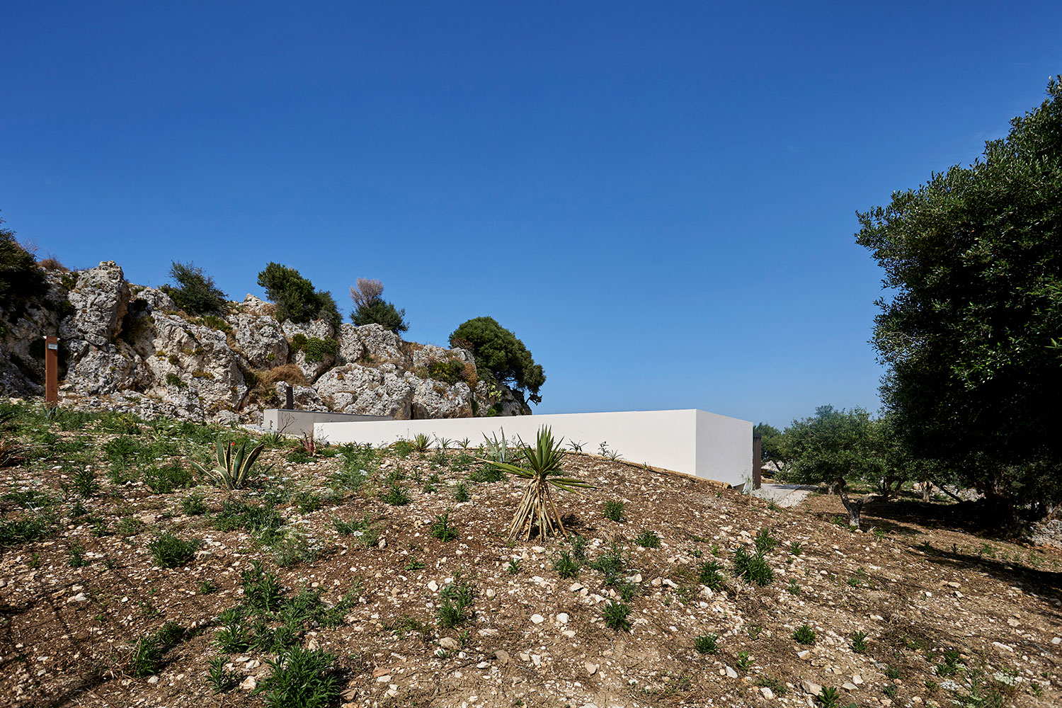 Dialogo con la natura